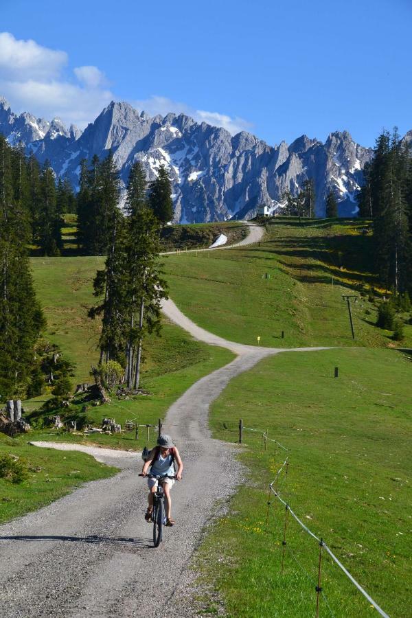 Pension Edelweiss Top21 Gosau Kültér fotó