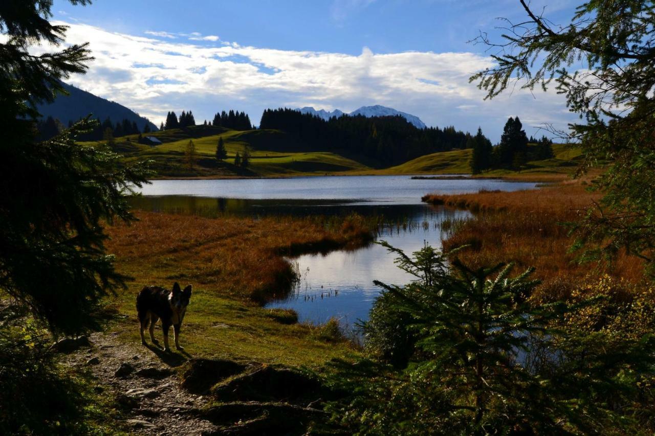 Pension Edelweiss Top21 Gosau Kültér fotó
