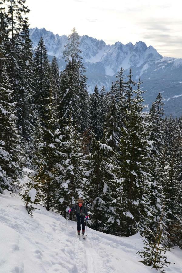 Pension Edelweiss Top21 Gosau Kültér fotó