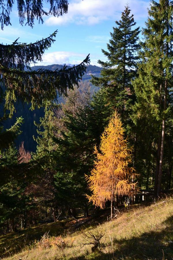 Pension Edelweiss Top21 Gosau Kültér fotó
