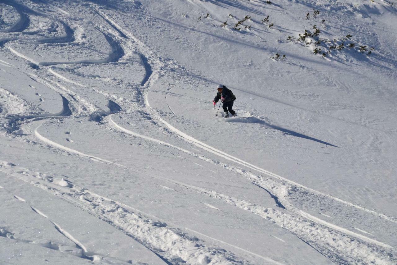 Pension Edelweiss Top21 Gosau Kültér fotó